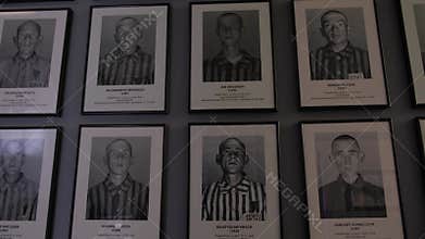 Portraits of male prisoners of the Auschwitz death camp.