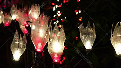 Enchanting Garden Lights Amidst Foliage at Dusk