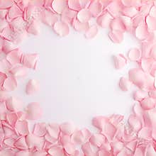 empty space pink rose petals background, AIGENERATED