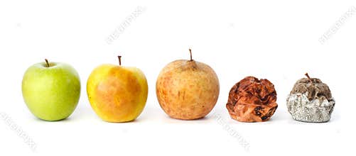 Five apples in various states of decay