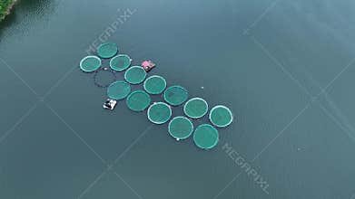 Aerial drone video of large fish farming in growing cages in calm deep waters.