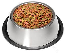 Dry Dog Pet Food Bowl