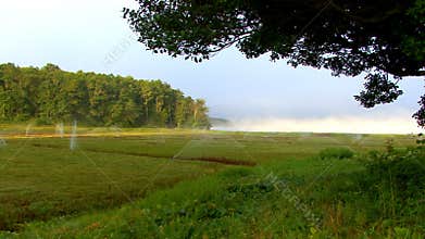 Watering Cranberry Bog; 1