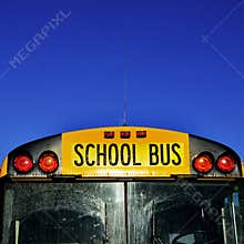 School Bus Detail