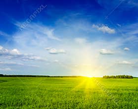 Spring summer green field scenery landscape