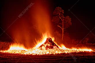 Dancing Flames Light Up the Night