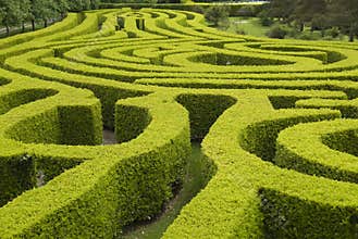 English country garden Maze