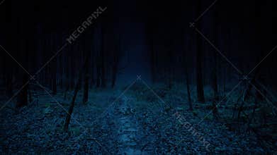 Day To Night Scary Walking POV In The Woods
