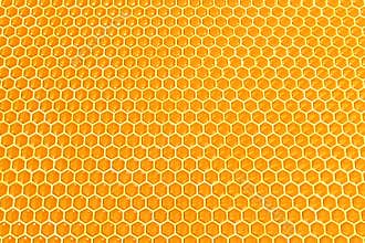 Honey cells