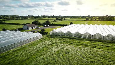 Expansive Agricultural Greenhouses Bathed in Golden Sunlight Amidst Lush Green Fields Under a Cloudy Sky Offering a View of
