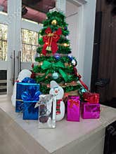 A beautiful Chrismast tree