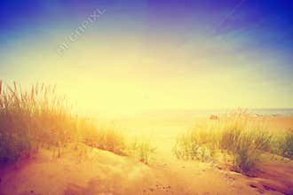 Calm ocean and sunny beach with dunes and green grass. Vintage