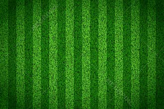 Soccer grass field top view. Green pitch. Sport stadium for baseball or football. Realistic turf texture background. Place for