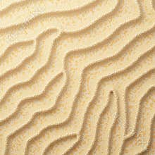 Macro View of Desert Dune Surface