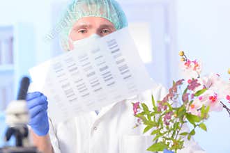 Analizing DNA GMO