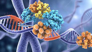 Complex protein machine repairs chromosome by cutting and rejoining DNA segments