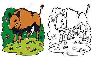 Wild boar standing in the grass