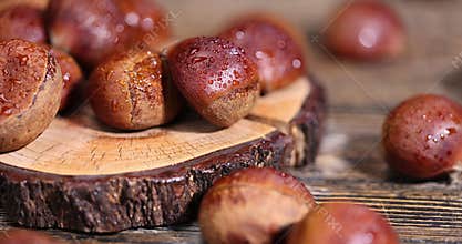 a hard, edible chestnut fruit in a brown shell covered with