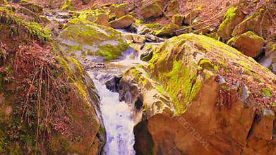 Mountain creek in summer season