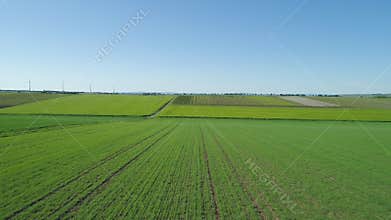 Fields, meadows and agricultural area in springtime - aerial view