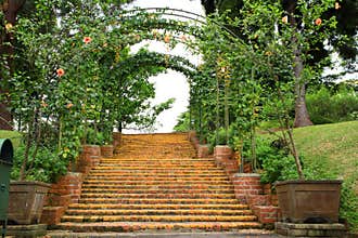 Stairs and gate