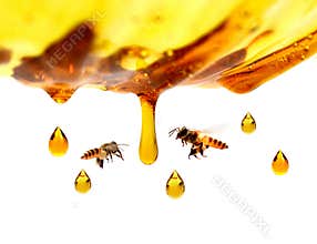 Miel dans le pot en verre avec le vol et les fleurs d`abeille sur un plancher en bois.