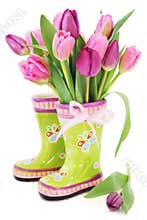 Spring tulip flowers in boots