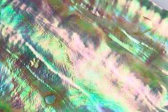 Mother-of-pearl background