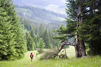 Mountain trip, Slovakia