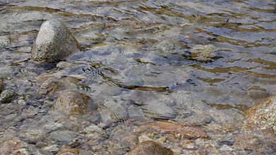 Small waves in shallow river, round stones visible under clear water, slow motion video
