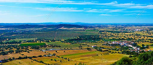 Alentejo Plain Landscape, Travel Portugal, Olive Trees Plantation