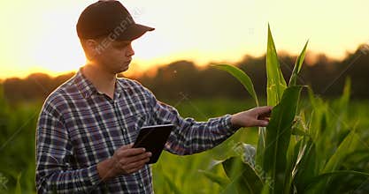 Farmer man read or analysis a report in tablet computer on a agriculture field with vintage tone on a sunlight