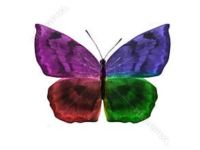 butterfly isolated on white background. wings with purple, blue, green, red
