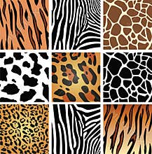 Animal skin textures