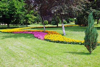 Beautiful garden