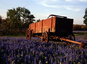 Hill country, Texas