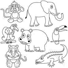 Coloring African Animals [2]