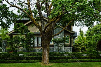 VANCOUVER, CANADA - MAY 15, 2019: Beautiful house with nicely trimmed green street view