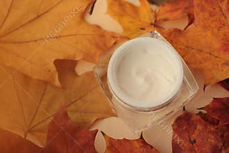 Autumn moisturiser