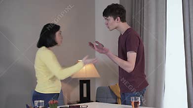 Side view of adult Caucasian woman and teenage boy arguing and gesturing emotionally indoors. Son and mother quarrelling