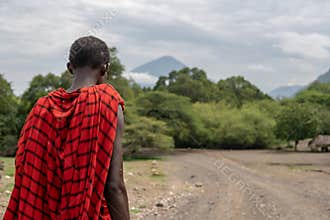 Maasai man in red traditional cloth walking near Lake Natron and Lengai volcano, Tanzania