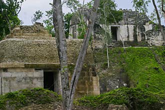 Archaeological Site: Nakum, the `House of Pot` and an ancient city hidden in the jungle