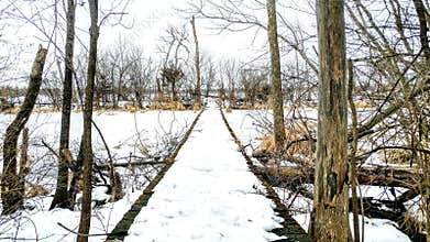 Snow Covered Bridge Leading out to Silver Lake