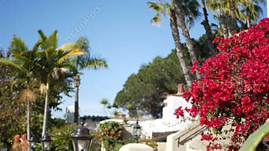 Mexican colonial style suburban, hispanic house exterior, green lush garden, San Diego, California USA. Mediterranean