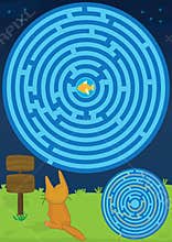 Labyrinth cat find fish two ways