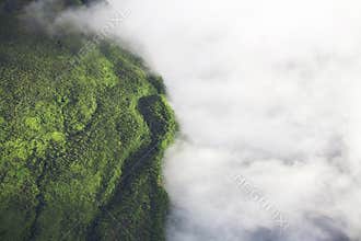 Cloudscape over forest