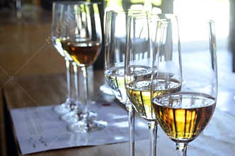 Tequila tasting workshop, tequila glass, tequila shots
