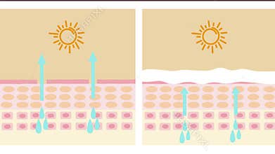 Skin exposed to the sun. Loss of moisture. animated video in 4k. uv protection for skin, graphic animation, icon. ultraviolet shie