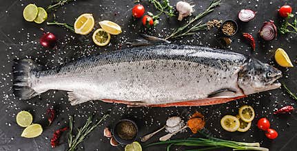 Fresh raw salmon red fish with spices, lemon, pepper, rosemary on dark stone background. Creative layout made of fish, top view,