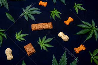 CBD Dog treats and cannabis leaves isolated over black